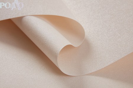 A901 (1)